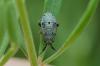 302221 – Photo : Zelvelder Benjamin – France (34)